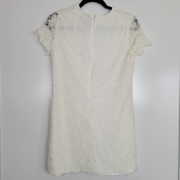 Lulu’s Take Me to Brunch Dress Lace Shift Scalloped Dress Medium - Picture 4 of 13